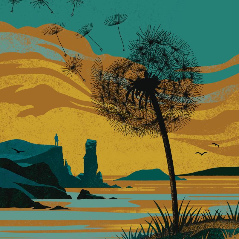 FESTIVAL PROGRAMME 2026